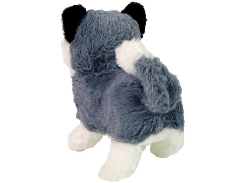 Interaktywna Maskotka Pies Husky Chodzi Porusza Ogonem Dźwięk LEAN Toys