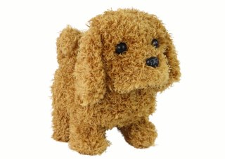 Chodzący Piesek Zabawka Interaktywna Szczekający Szczeniak Brązowy LEAN Toys