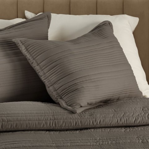 POSZEWKA TARA 50 X 70 CM SREBRNY EUROFIRANY