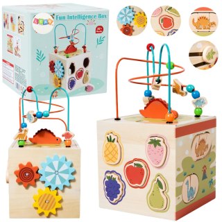 Kostka Edukacyjna Sensoryczna Sorter 5 Płaszczyzn Drewniana LEAN Toys