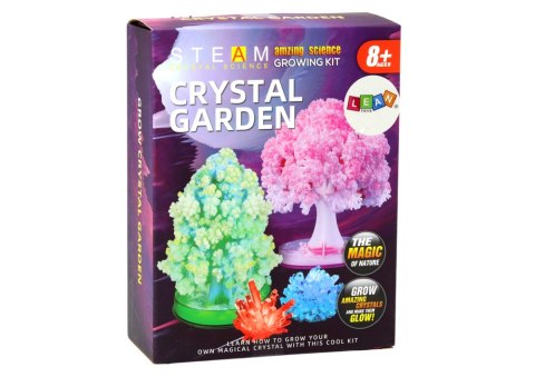 Zestaw Edukacyjny Doświadczenie Hodowla Kryształów Drzewka LEAN Toys