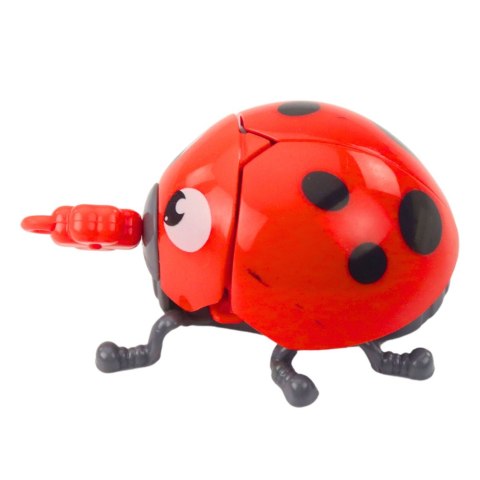 Nakręcana Zabawka Biedronka Porusza Kończynami Skrzydełkami LEAN TOYS