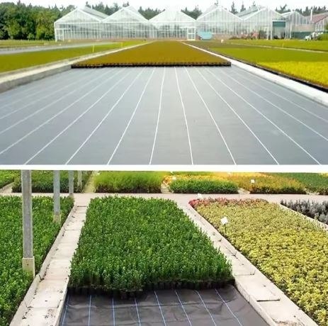 Agrotkanina czarna 1,1x100m UV 135g antychwastowa agrowłóknina + kotwy LEAN Trike