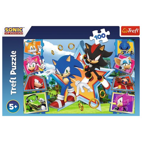 Puzzle - "100" - Poznaj Sonica Trefl 16465 Trefl Puzzle