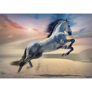 Puzzle - 1000 - Majestatyczny koń Trefl 10790 Trefl Puzzle
