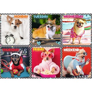 Puzzle - 200 - Wesołe psy - Trefl 13279 Trefl Puzzle