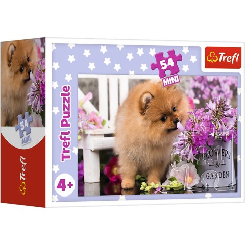 Puzzle - 54 mini - Urocze zwierzątka - Trefl 54195 Trefl Puzzle