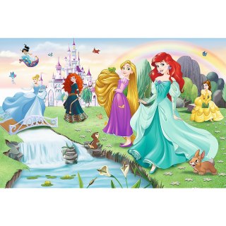 Puzzle - 60 - Poznaj Księżniczki - Disney Princess Trefl