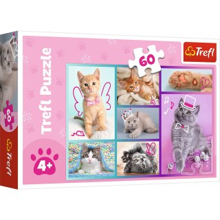 Puzzle - "60"- Słodkie kociaki Trefl