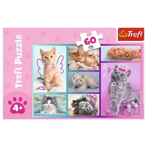 Puzzle - "60"- Słodkie kociaki Trefl
