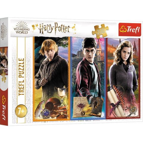 Puzzle Harry Potter 200 el. W świecie magii i czarów Trefl 13277 Trefl Puzzle
