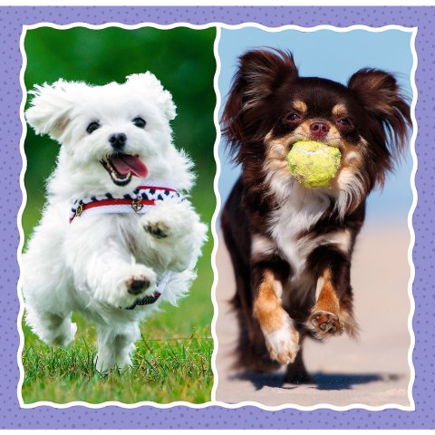 Puzzle - 3w1 - Urocze pieski - Trefl 34854 Trefl Puzzle