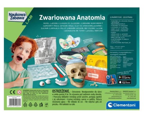Naukowa Zabawa Zestaw Zwariowana Anatomia Język Polski Clementoni 50697 Clementoni