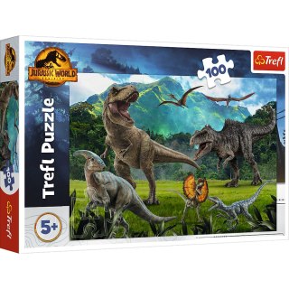 Puzzle - 100 - Park Jurajski - Universal Jurrasic World - Trefl