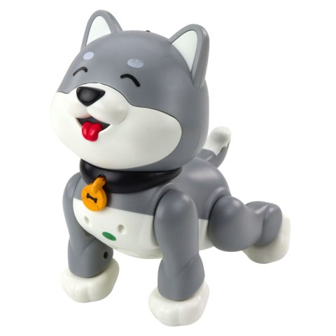 Interaktywny Robot Pies Husky Zdalnie Sterowany RC Głosem Sztuczki Szary LEAN Toys