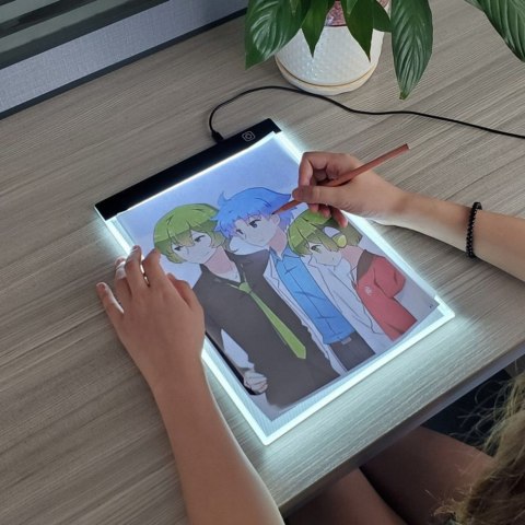 Tablica Deska Kreślarska Do Rysunku Kaligrafii Podświetlana LED A4 LEAN