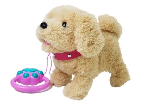 Pluszowy Piesek na Smyczy na Baterie Kremowy Akcesoria LEAN Toys