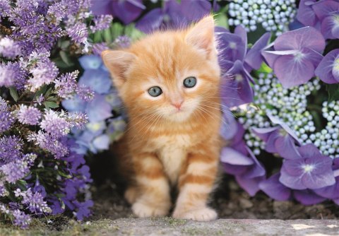 Puzzle 500 HQC RUDY KOTEK Clementoni 35585 Clementoni