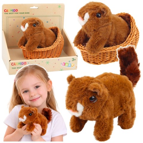 Pluszowa Interaktywna Wiewiórka W Koszyku Chodzi Wydaje Dźwięki Brązowa LEAN Toys