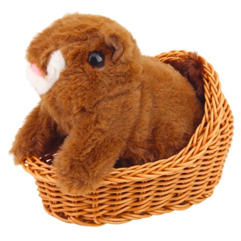 Pluszowa Interaktywna Wiewiórka W Koszyku Chodzi Wydaje Dźwięki Brązowa LEAN Toys