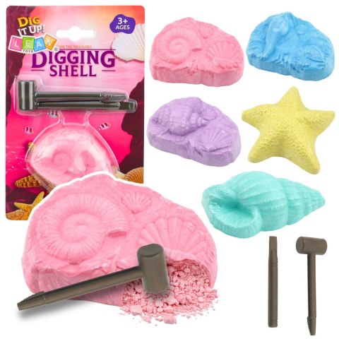 Morski Zestaw Archeologiczny Morskie Skamieniałości Muszle Narzędzia LEAN TOYS