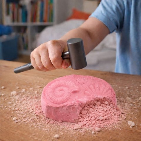 Morski Zestaw Archeologiczny Morskie Skamieniałości Muszle Narzędzia LEAN TOYS