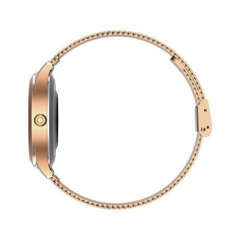 SMARTWATCH DAMSKI G. Rossi SW014-2 rosegold (sg009b) G. Rossi
