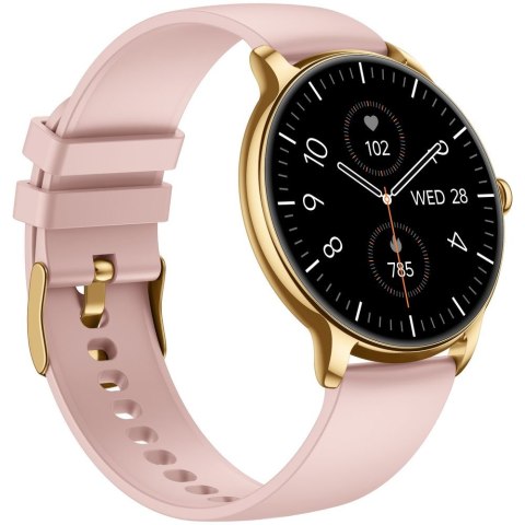 SMARTWATCH DAMSKI GRAVITY GT31-1 - AMOLED, DODATKOWY PASEK (sg052a) Gravity