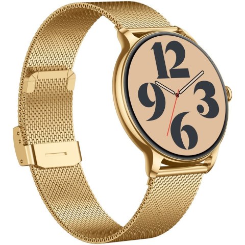SMARTWATCH DAMSKI GRAVITY GT31-1 - AMOLED, DODATKOWY PASEK (sg052a) Gravity