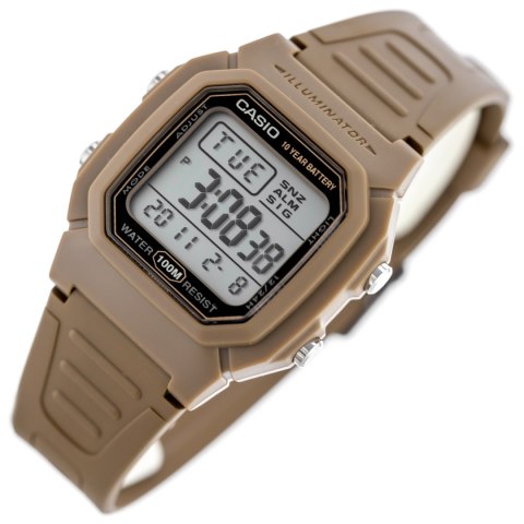 ZEGAREK MĘSKI CASIO W-800H-5A KLASYKA + BOX Casio