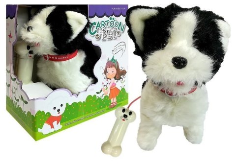 Pies Husky Na Smyczy Sterowany Pilot Kość Biało- Czarny LEAN Toys