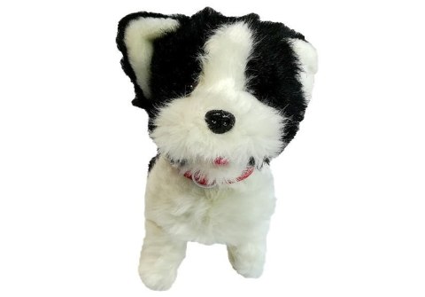 Pies Husky Na Smyczy Sterowany Pilot Kość Biało- Czarny LEAN Toys